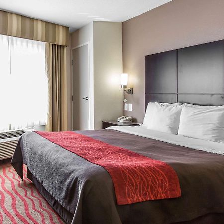 Comfort Inn Los Angeles Near Hollywood Ngoại thất bức ảnh