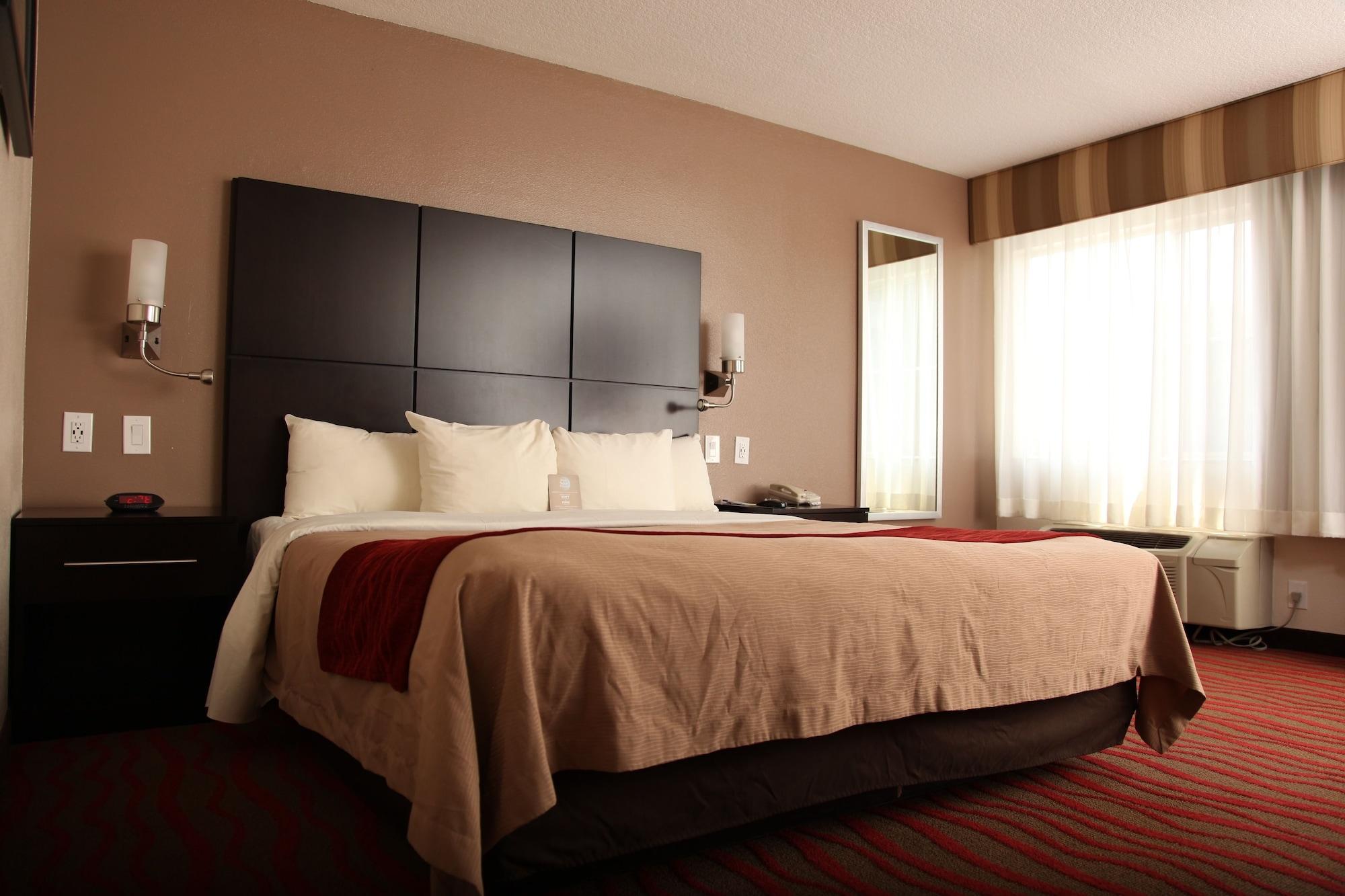 Comfort Inn Los Angeles Near Hollywood Ngoại thất bức ảnh